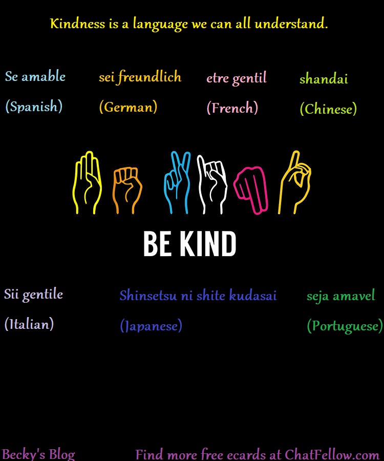 BeckysEcards's tweet photo. If you can be anything, Be Kind. Kindness is a language we can all understand. https://t.co/T5MLmdnHf3 #langugagelearning #speakeasy #ChatFellow #kindness #saturdaymotivation #weekend https://t.co/RMQtMLk0Kv