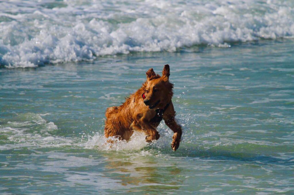 Fakhr-e-Alam S.I & S.E tweet media