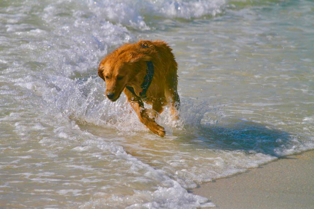 Fakhr-e-Alam S.I & S.E tweet media