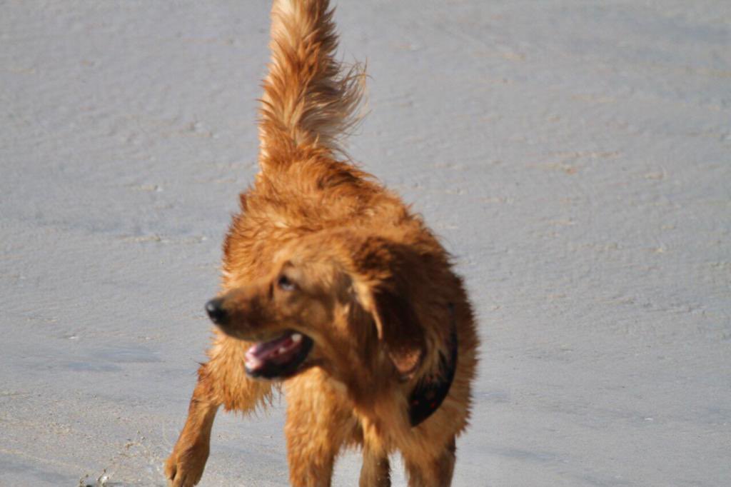 Fakhr-e-Alam S.I & S.E tweet media