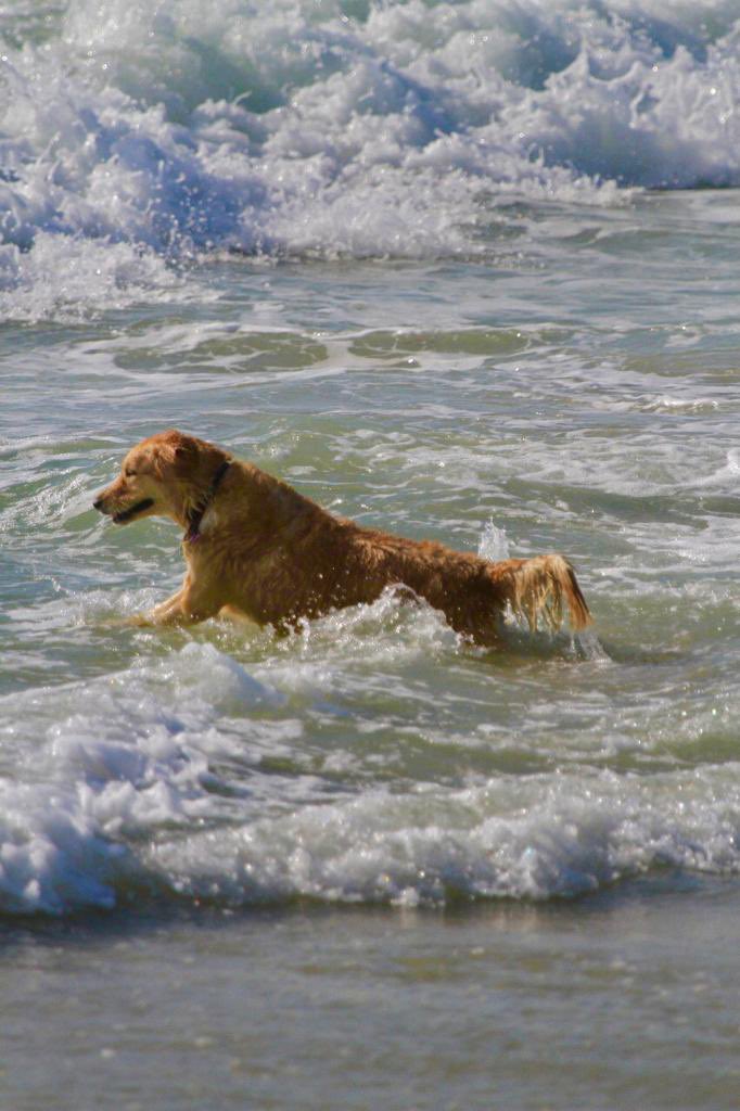 Fakhr-e-Alam S.I & S.E tweet media