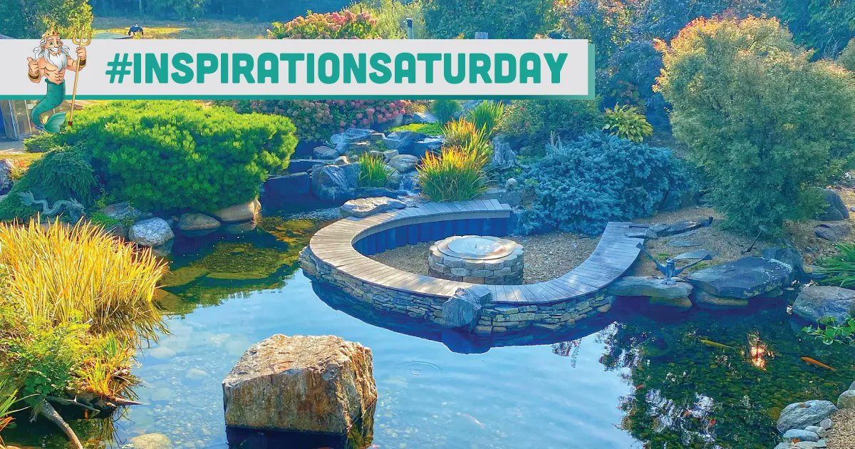 AWGROCKSTARS's tweet photo. #inspirationsaturday https://t.co/nxsYHARPwm