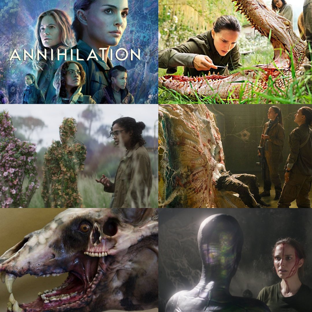 HorrorCarnival's tweet photo. Annihilation is a 2018 science fiction psychological horror film directed by Alex Garland. The story follows a group of explorers who enter "The Shimmer", a mysterious quarantined zone of mutating plants and animals caused by an alien presence. https://t.co/AQpuHZMy4x