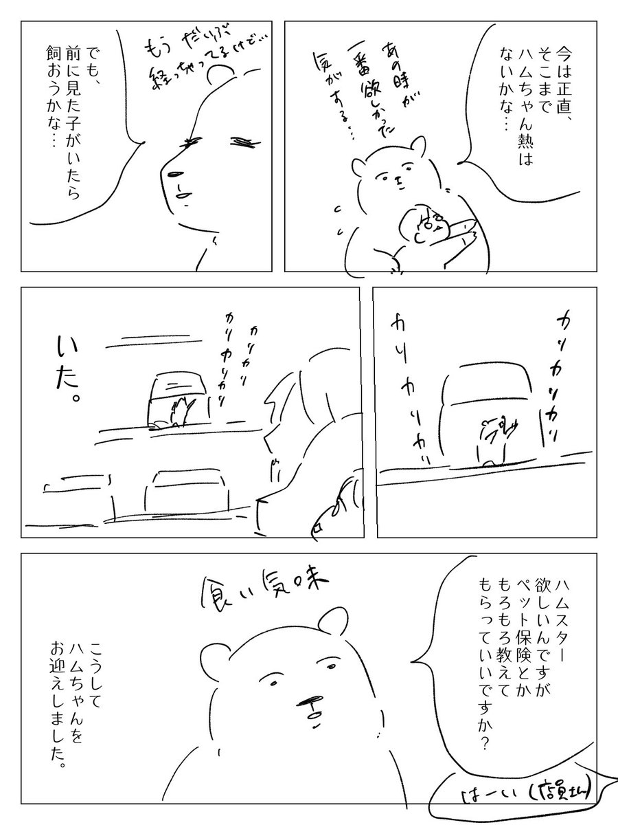 ハムちゃんお迎えするまで。 