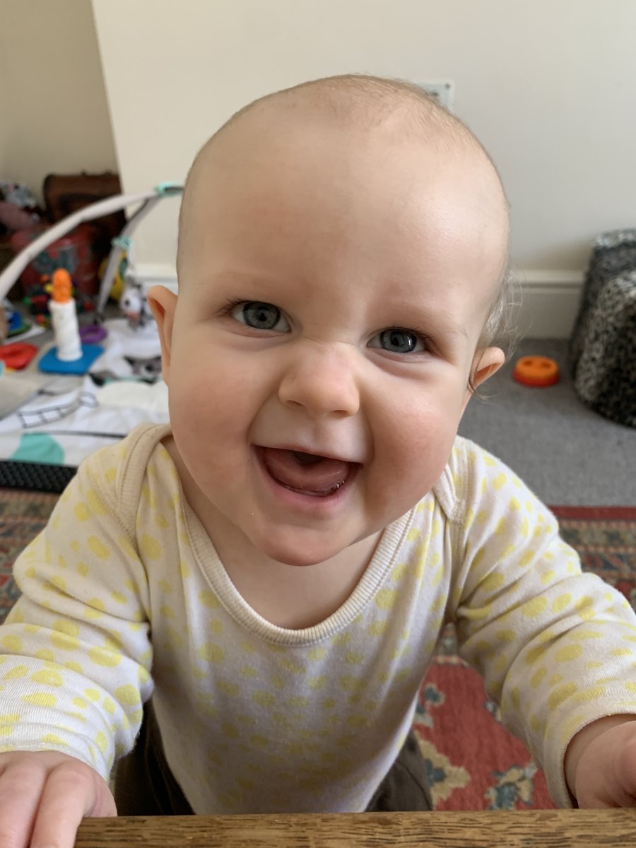 Pete Falconer tweet media