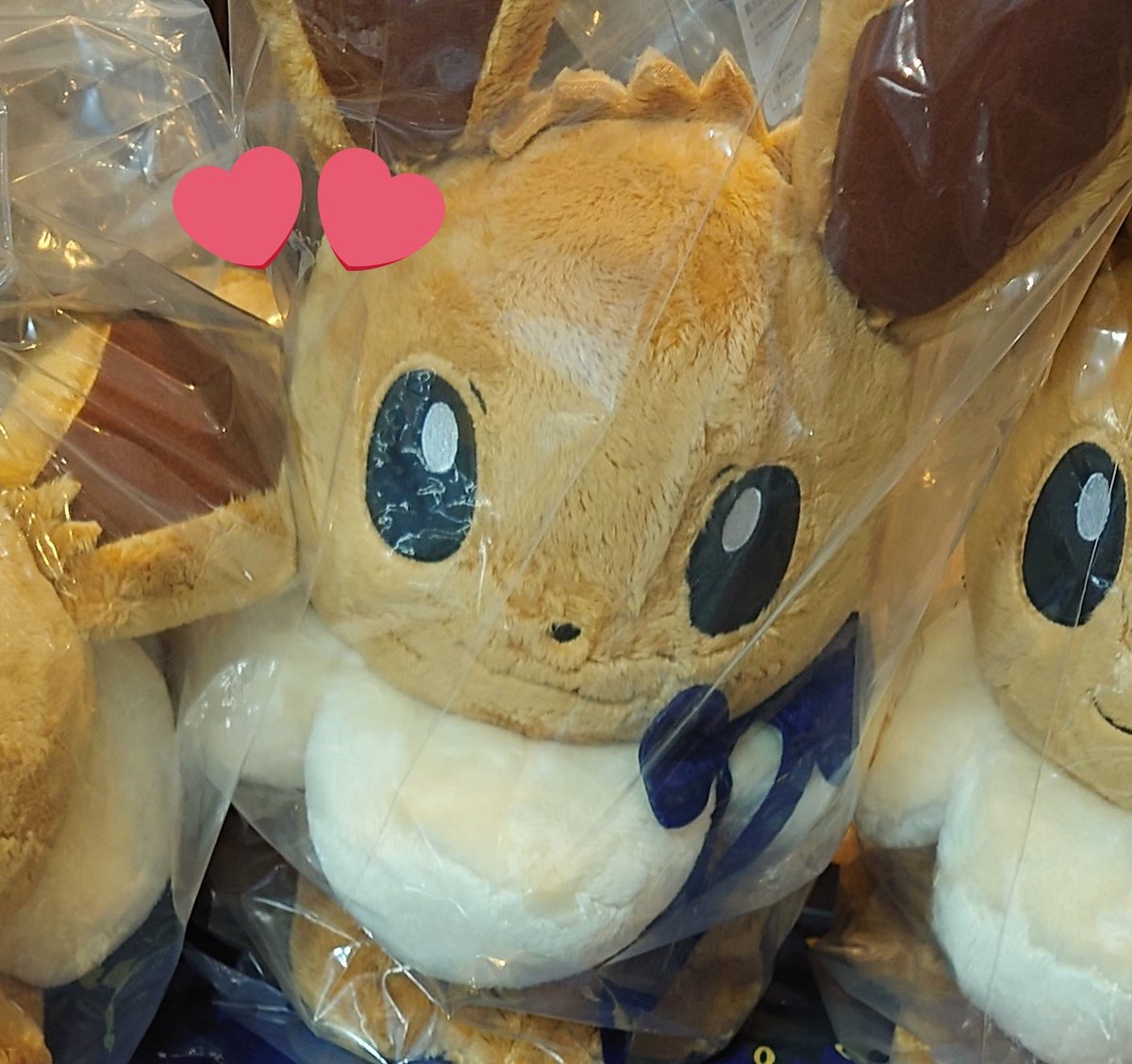 trhk_ak___'s tweet photo. 【拡散希望】
Pokémon EIEVUI&amp;Starlight Night ポケモン 一番くじ イーブイ ブイズ 交換

譲：A賞 星空リボンのイーブイぬいぐるみ

求：C賞 ルームライト

ご交換可能な方居られましたらリプライまたはDMよりお声掛け下さい。よろしくお願い致します。 https://t.co/1pxIWXiLRK