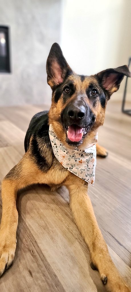 Penny and Parker tweet media