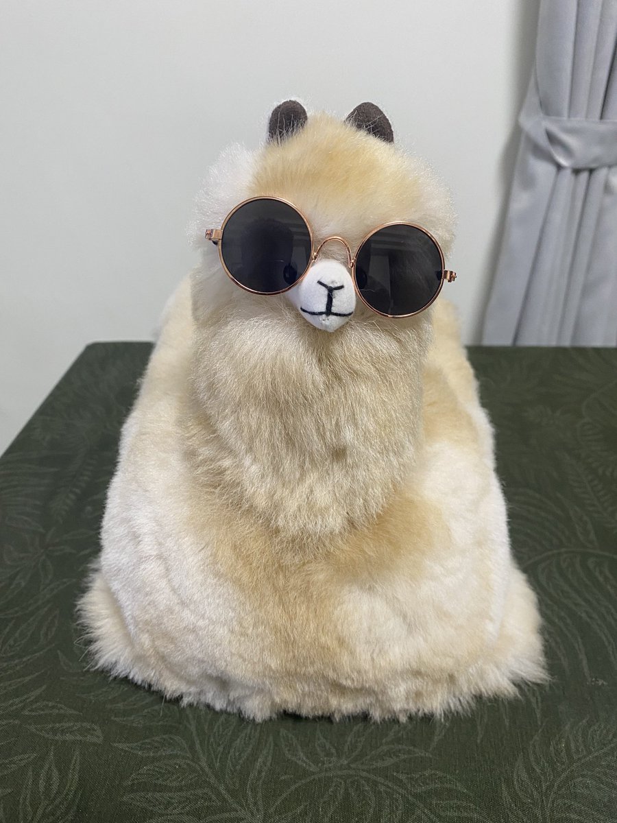 真的很可愛 毛好好摸