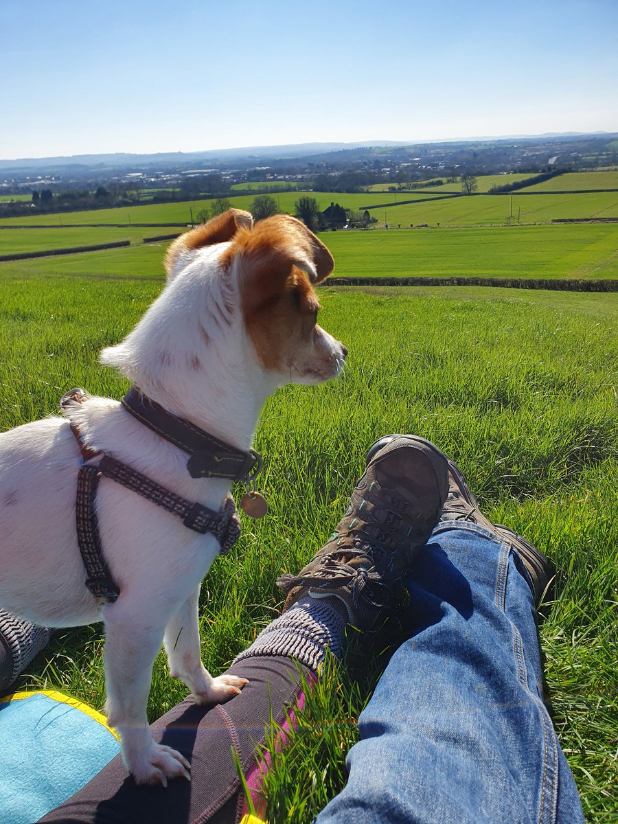 lorryingtom's tweet image. Sunny day in the shire so we went for a BIG WALK because we are middle aged.