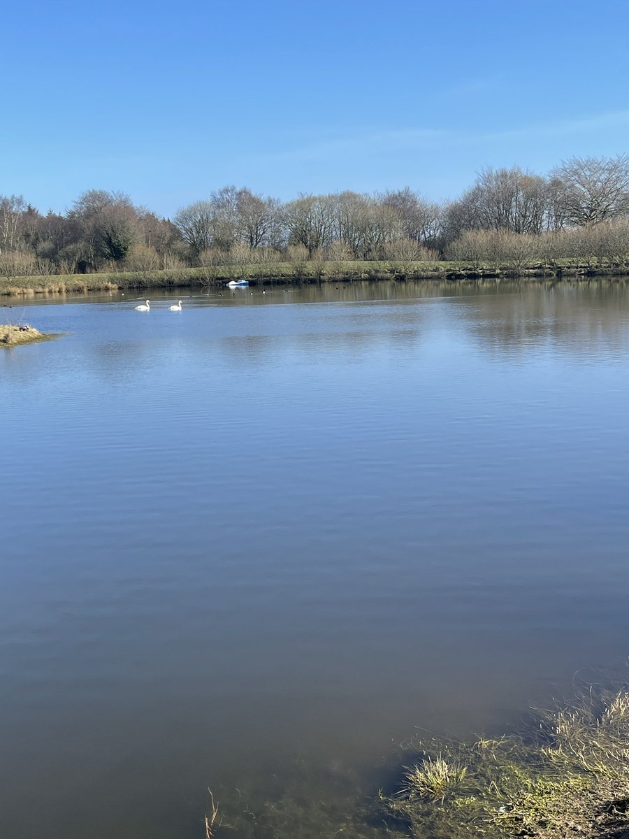sandraoshea's tweet photo. Lovely and still by the pond this morning https://t.co/w6zOD80jxv