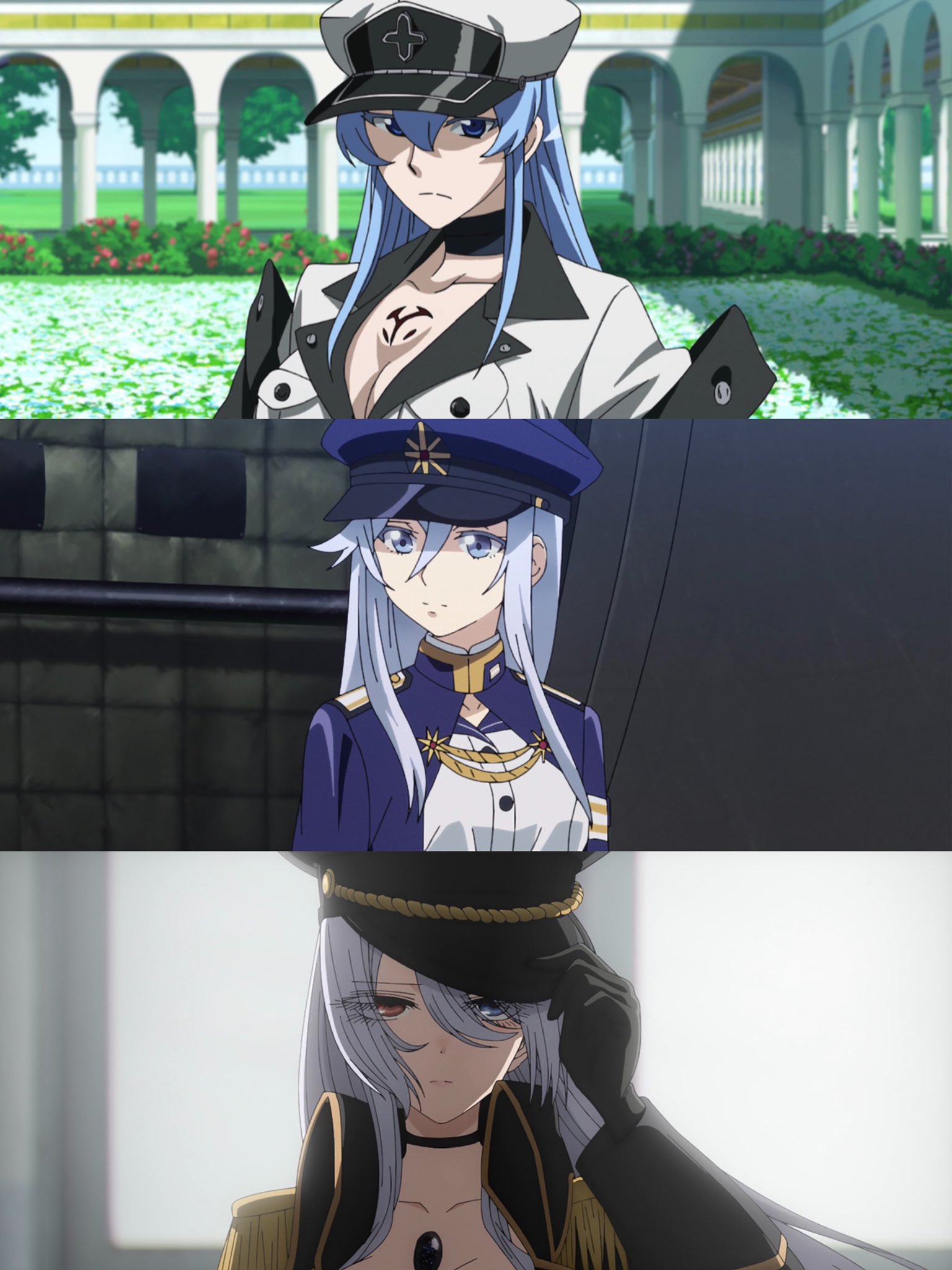 Anime Memes on X: Akame ga kill meme No.162 / X