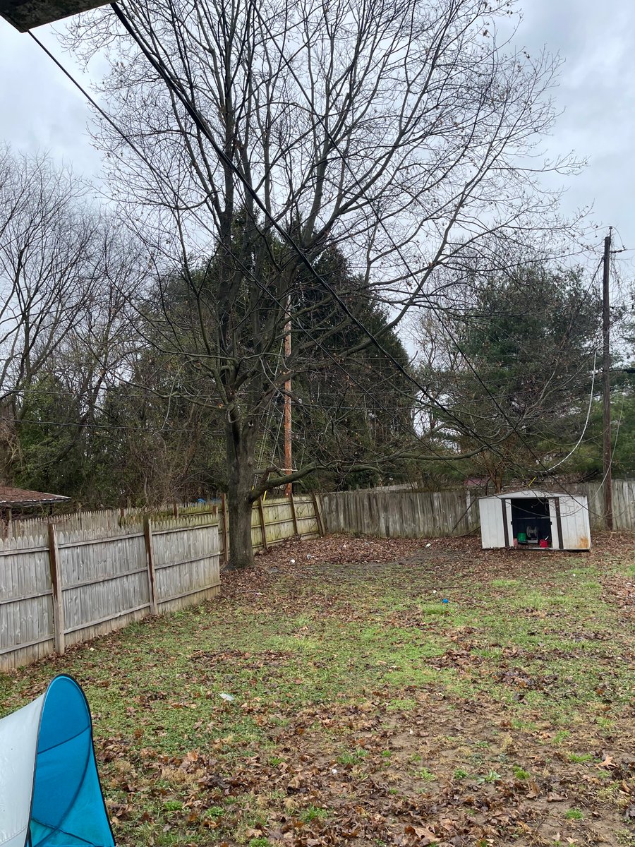 anggibson09's tweet photo. Hey @AEPOhio how many times do we have to call for you to come fix these incredibly dangerous power lines that are nearly touching the ground ?! https://t.co/Hz9K2DEPLn