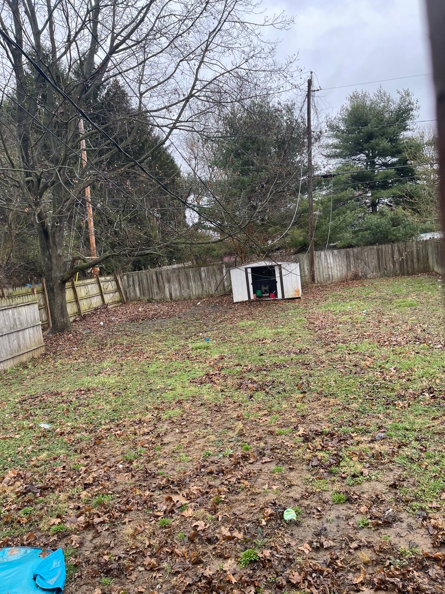 anggibson09's tweet photo. Hey @AEPOhio how many times do we have to call for you to come fix these incredibly dangerous power lines that are nearly touching the ground ?! https://t.co/Hz9K2DEPLn