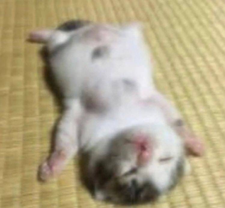rusylii's tweet photo. @DobryiGandon АААА БОЖЕ ГОСПОДИ РЕВУ!! СПАСИБО ОГРОМНОЕ АААА!!!!!! ❤️❤️❤️❤️❤️❤️❤️❤️❤️❤️ https://t.co/JGBymmTYEB