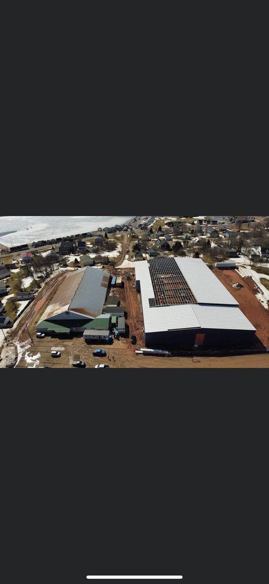 Mount Academy tweet media