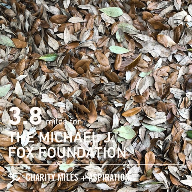 Pints4PDOrlando's tweet photo. Falling back into the running groove
π
πββοΈ
πββοΈ
π¦
#Goteamfox #outrunparkinsons #charitymiles #runorlando #run407 #running #socialdistancerunning #runningisnotcancelled #dadjokes https://t.co/V6COVWAuKH