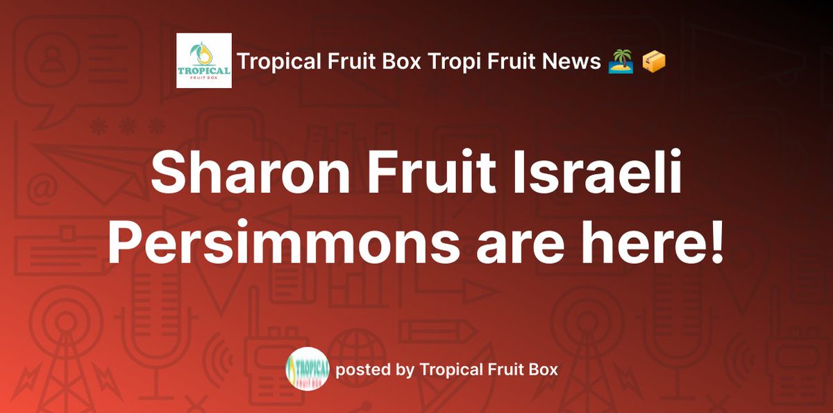 Sharon Fruit Israeli Persimmons are here! | Some of the nicest persimmons you'll ever taste. The Sharon Fruit Israeli persimmons are the best of the very best. Get yours here. | zpr.io/mhPDAfdEv2Hg