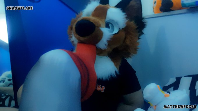 Here are some pictures of the next video to come, as you can see it's all about paws :3   #murrsuit @MurrsuitsPorn<a href="/tag/murrsuit"class="tags"><span>#murrsuit</span></a><a href="/tag/mursuit"class="tags"><span>#mursuit</span></a><a href="/tag/mursuiter"class="tags"><span>#mursuiter</span></a>