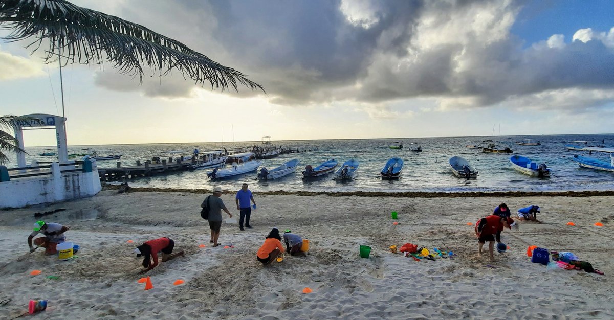 DonRobertoMX 🇨🇦👉🏻🇲🇽 tweet media