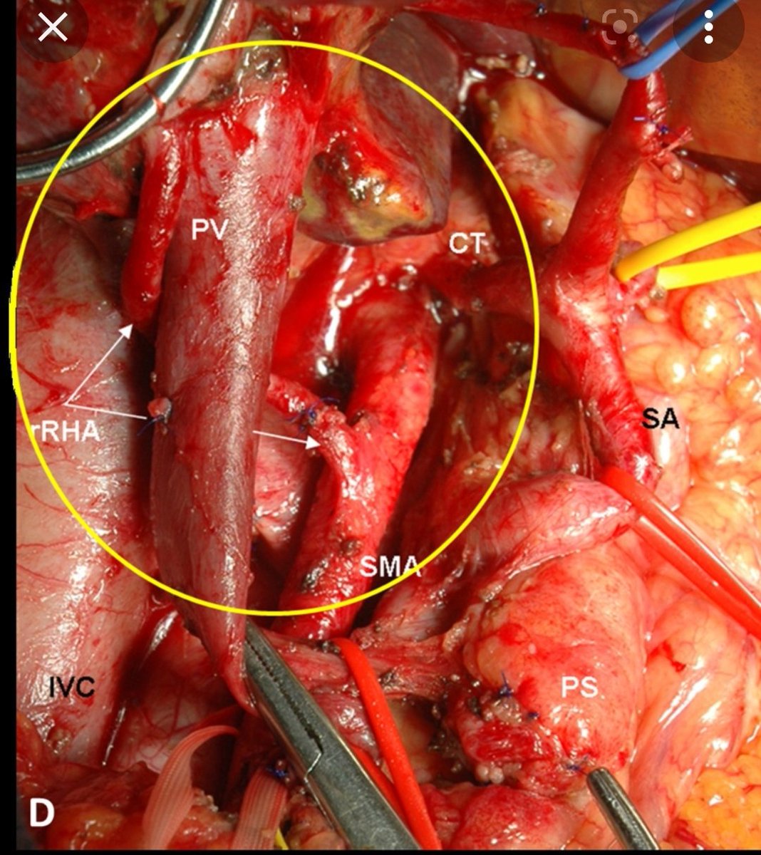 Syed Nabeel Zafar tweet media