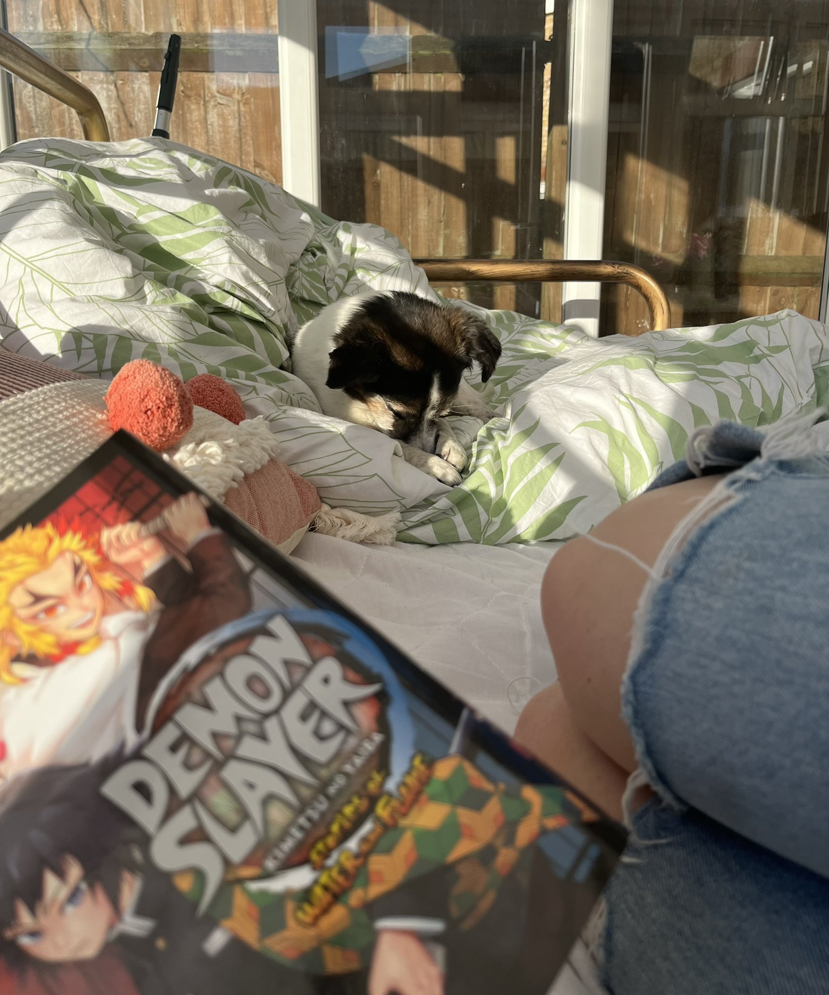 Alyska on Twitter: "☀️📖🐶 https://t.co/ayc96WZYT3" / Twitter
