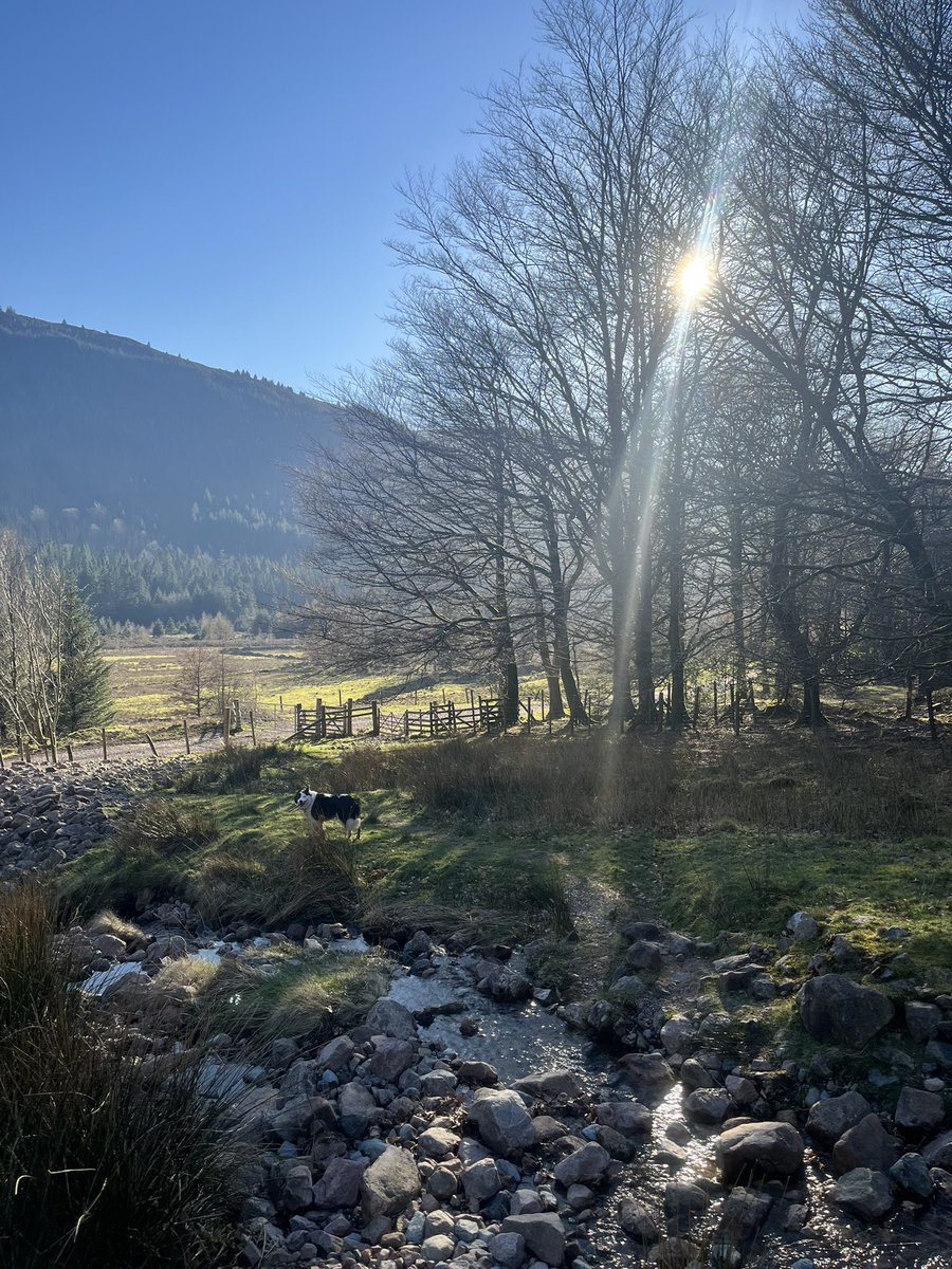 YHAEnnerdale's tweet photo. What a lovely day in the valley #twitter #yhaofficial https://t.co/mlCwjF7tmV