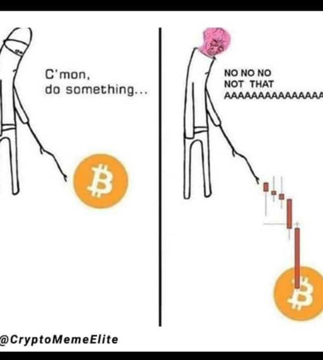 DoodleCoolCat's tweet photo. #NFT #nftart #NFT  #NFTdrop #nftart #NFTGiveaway #OpenSeaNFT #openseanfts #cryptocurrency #cryptotrading https://t.co/YTKZzacSY3