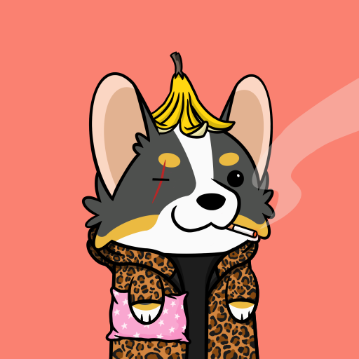 Christian Schellhorn tweet media