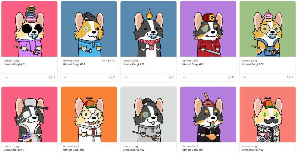 Utmost Corgi tweet media