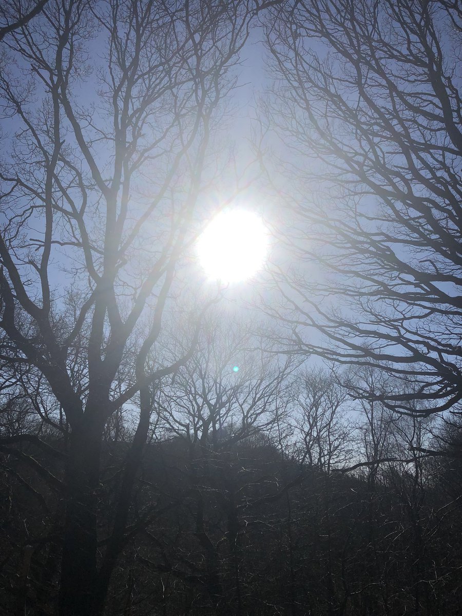 CATSCOTLAND's tweet photo. Scotland is shining today!☀️🏴󠁧󠁢󠁳󠁣󠁴󠁿❤️Morning run and afternoon walk were both perfect. @MyPeakChallenge @SamHeughan I’m loving my T-shirt, thank you. I’ll be wearing it next Sunday for the @CardiffHalf Wish me luck! 🤞#ScottishPeaker #MPC2022 🏃🏻‍♀️👣🏴󠁧󠁢󠁳󠁣󠁴󠁿🏴󠁧󠁢󠁷󠁬󠁳󠁿 https://t.co/OiF3LlKT7v