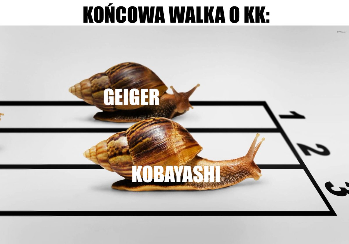 Walka #Kobayashi 🇯🇵 vs #Geiger 🇩🇪 w końcowym etapie PŚ jest jak: 
#skijumpingfamily #skokoholicy #skoki #Oberstdorf