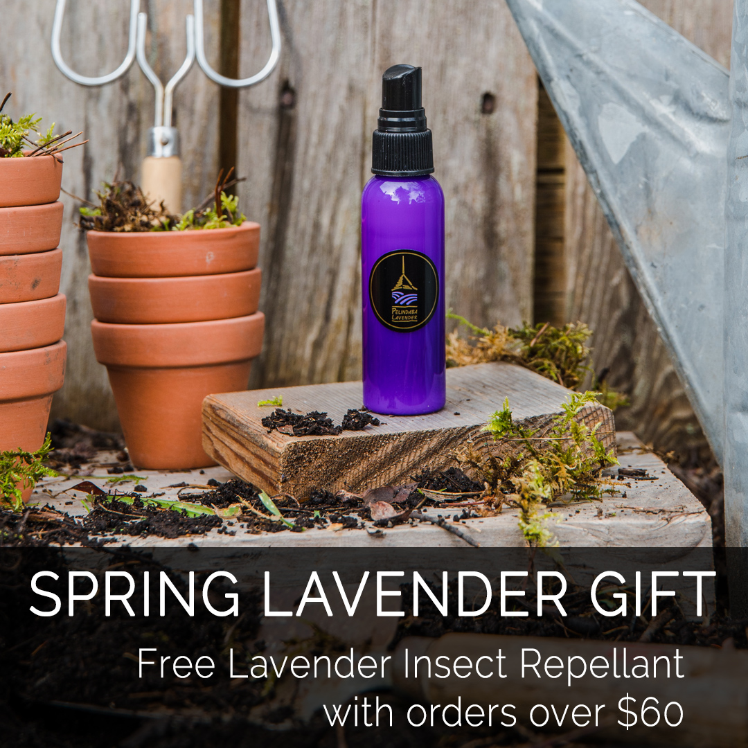 pelindaba's tweet photo. Let's get ready for the #outdoor season, for mornings in the garden, etc... Online orders over $60 through Sunday will receive a bottle of our most popular outdoor essential Lavender #InsectRepellant as our #freegift!
Use coupon code SPRING at checkout.
https://t.co/vmCfh8sbac https://t.co/fS7CLgBusA
