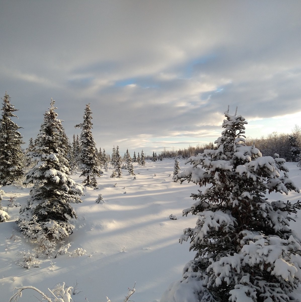 Congratulations to Brent Sass for winning <a href="/BristolBayToday/">Bristol Bay Native Corporation</a>'s Fish First Award last weekend! BBNC “has endorsed a Fish First value for land and resource management in Bristol Bay… adequate protections for fish and fish habitat will always be a priority.” #VetoPebbleMine