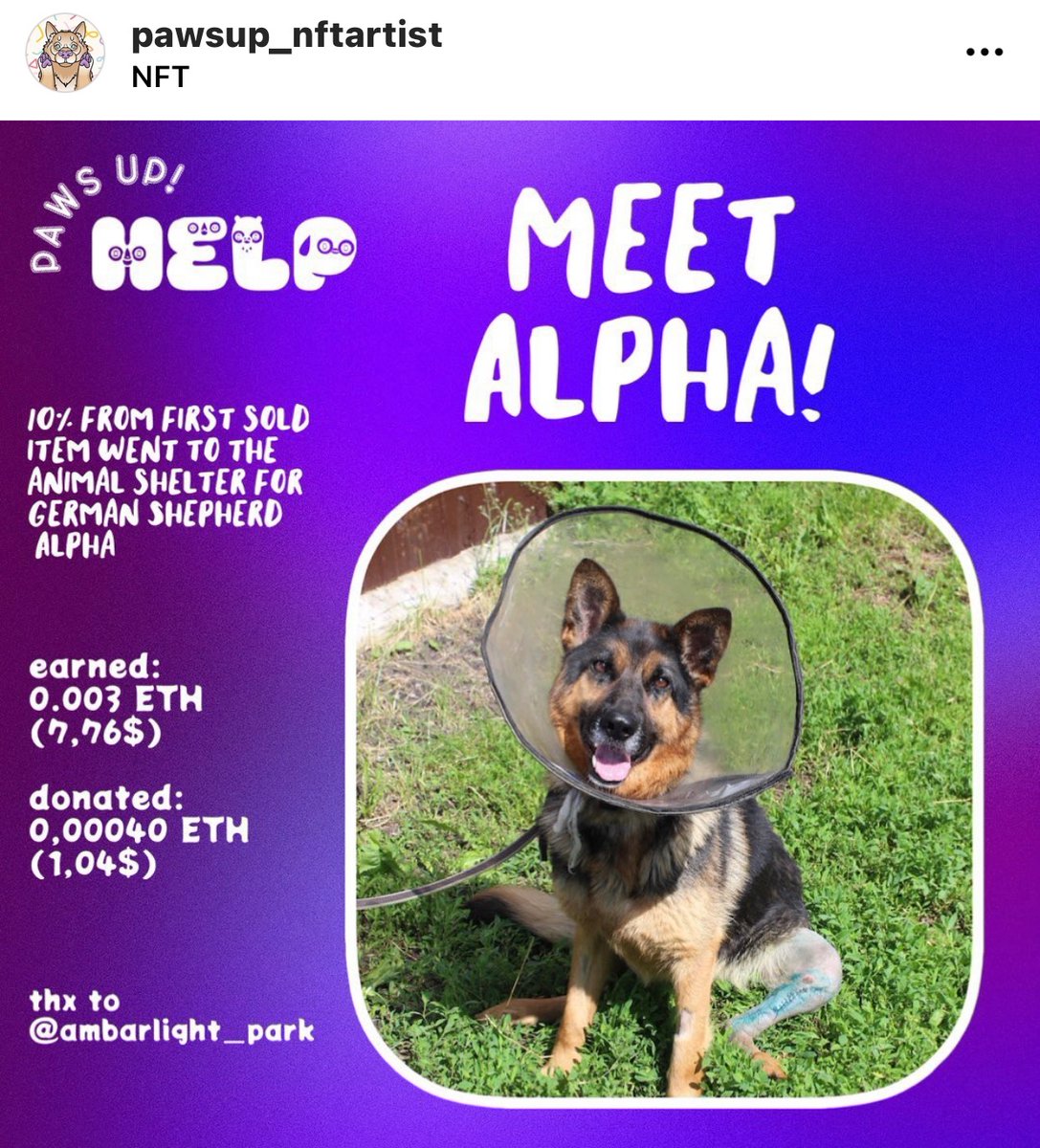 AmbarLight_Park's tweet photo. ✨Hi, guys✨

Today i wanted to talk about 🐶Alpha🐶 he was found two years ago with two broken legs bad healed; he was took to a vet and went though rough surgeries.
Now he is recovering and we decided that our first donation will be to help him heal☺️

#recovery #animals #NFT https://t.co/eqmd6oGGB0