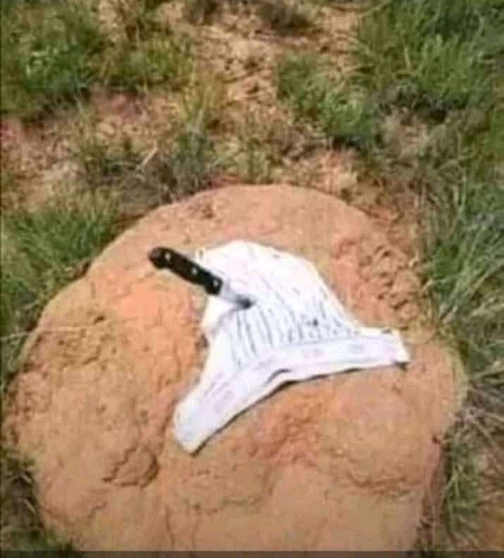 Ditabe_'s tweet photo. This is how they holding our life💔😭 https://t.co/mXATu4ZRkW