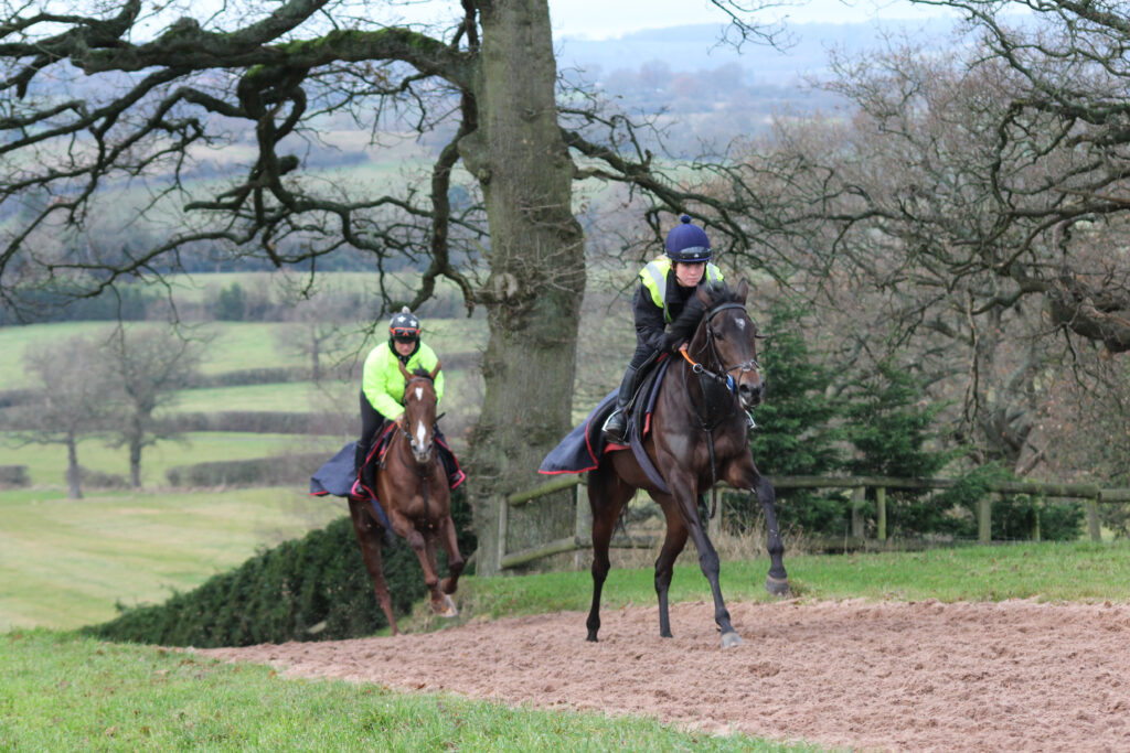 ianwilliamsraci's tweet image. Malakahna for the Macable Partnership took advantage of a class drop to land the odds in the @VirginBet Mares' Novices' Hurdle @kemptonparkrace under @charliet0dd when she came home four lengths ahead of Cool Stone 🏆🍾 #SaturdayWinner 

👉 bit.ly/30sz3Oy