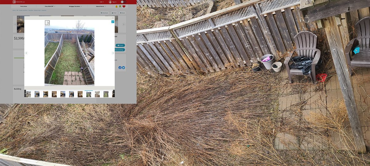 Nathan Costa tweet media