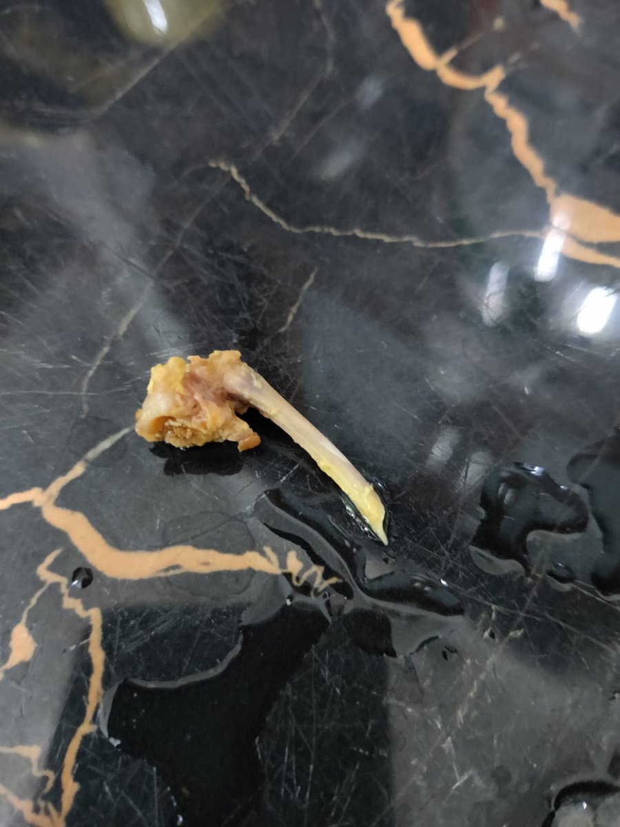 DeepakConvivial's tweet photo. @swiggy_in Bloody circus called swiggy delivered a non veg gravy with a bone in it for a veg order. Shame on you.@SwiggyCares @SwiggyTech @SwiggyDEHyd @harshamjty @nandanreddy https://t.co/AQcNw7NjX5