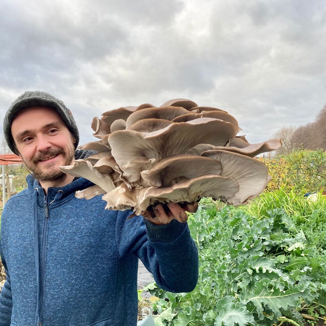E17SundaySocial's tweet photo. We have a 𝐍𝐄𝐖 trader coming to the market this Sunday! 📢📢📢

Fat Fox Mushrooms 👏

Pop down tomorrow to see what they have to offer! 

📍 𝕎𝕒𝕝𝕥𝕙𝕒𝕞𝕤𝕥𝕠𝕨 ℍ𝕚𝕘𝕙 𝕊𝕥𝕣𝕖𝕖𝕥📍⁣⁣⁣⁣⁣
⏰ 𝕊𝕦𝕟𝕕𝕒𝕪, 𝟙𝟘𝕒𝕞 – 𝟜𝕡𝕞 ⏰

#SundayMarket https://t.co/RJC5ObUyS9
