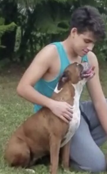 Moboking tweet media