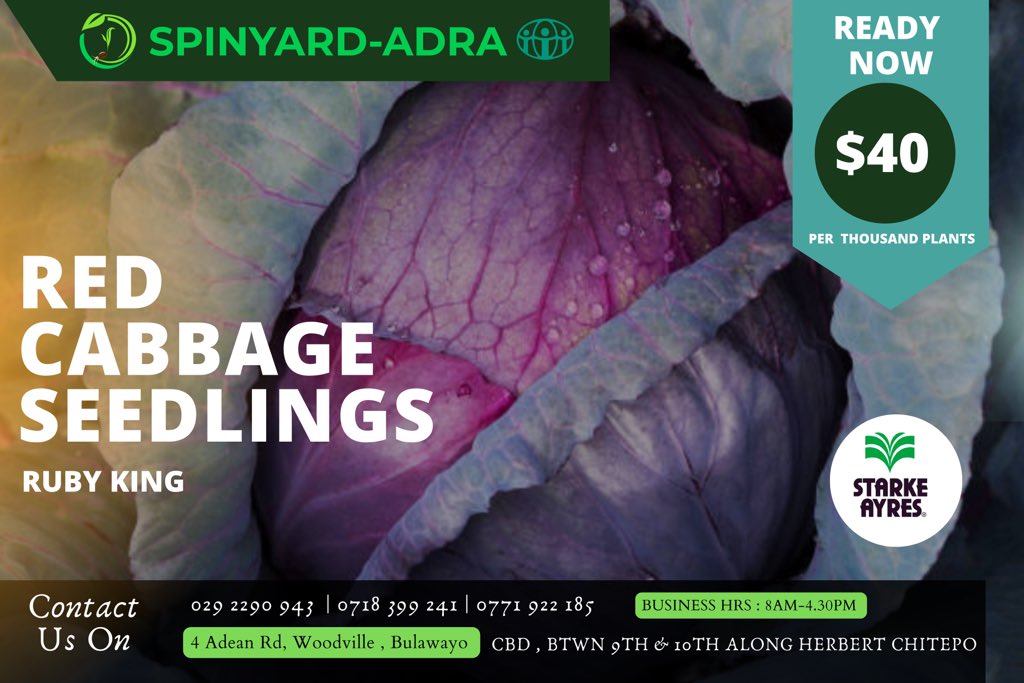 SpinyardS's tweet photo. @CelinaHatidani @Nasiali_N https://t.co/htlcD2pcnN