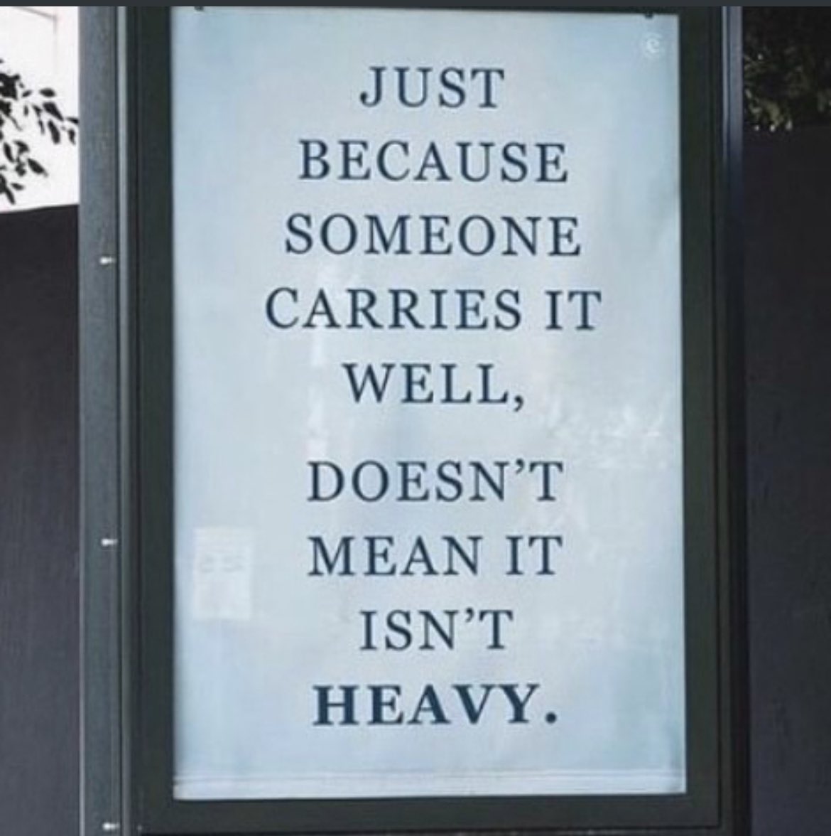 N. Warren-Doman tweet media