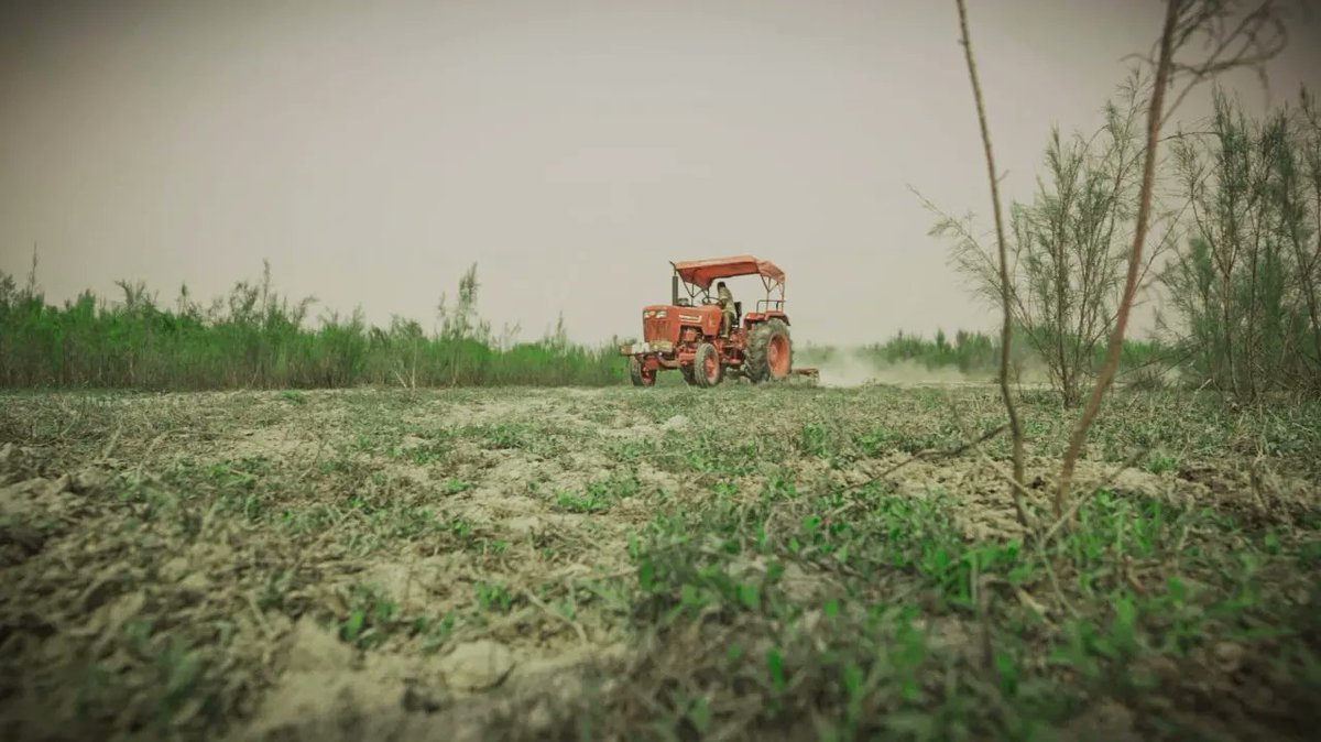 riturajphukan's tweet image. This week we started the #MolaikathoniNurseryProject with Forest Man of India @FPayeng &amp;amp; @tcrpindia for a #millionmoretrees supporting  #communityled projects for #people and #biodiversity! @ClimateReality @ClimateReality @UNFCCC @IPCC_CH #indigenousclimateaction #LeadOnClimate