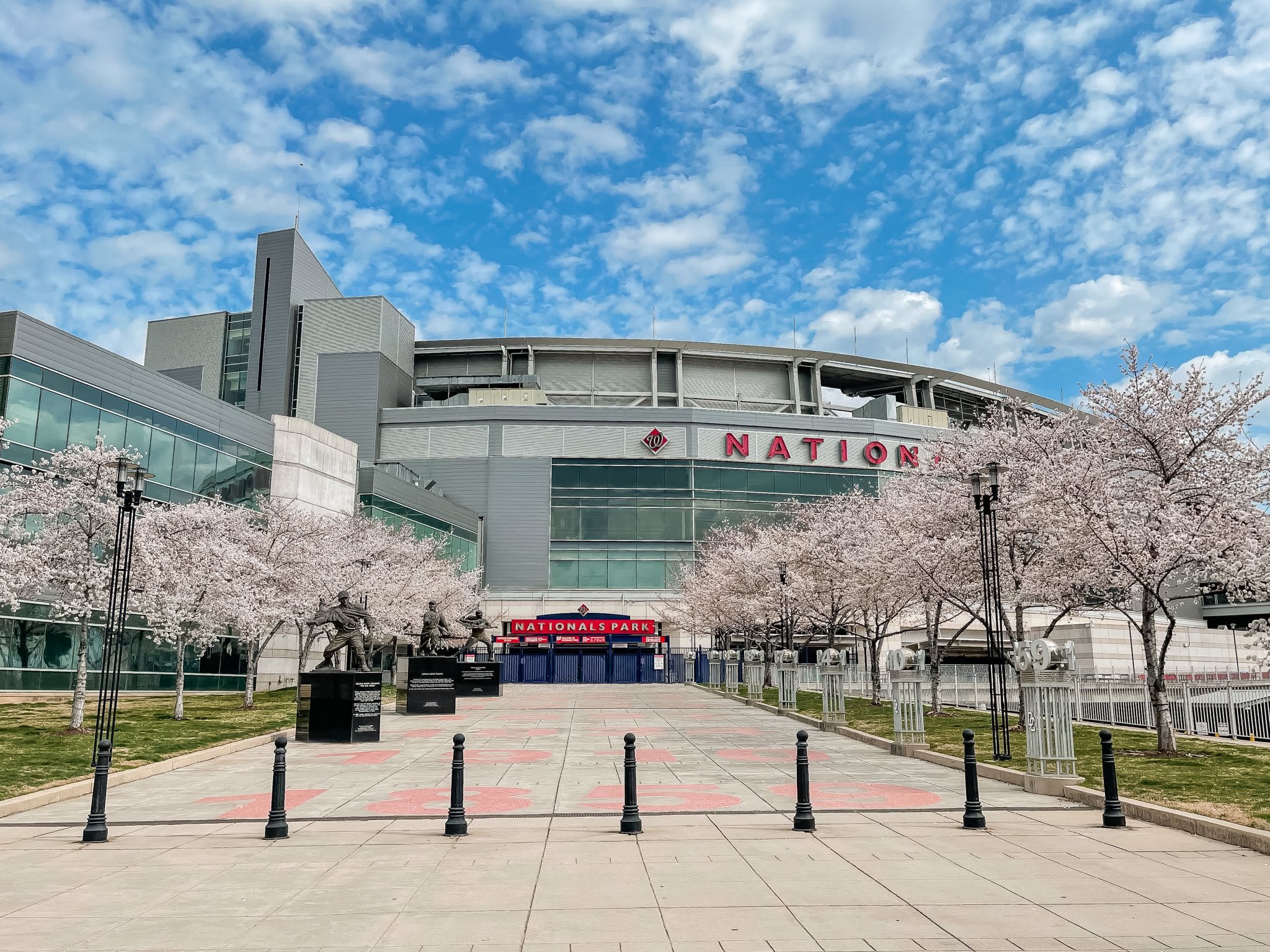 X \ Washington Nationals على X: Cherry blossom season means a little bit  more to us this year…