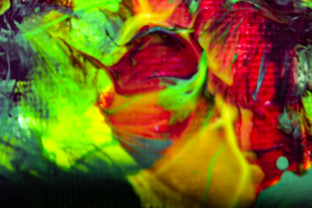 Prikassoart's tweet photo. "Eclosion"
#NFTCommunity  #NFTs https://t.co/RvhBaRyON6