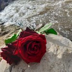 Photo by رشا عرابي (@Baida33)