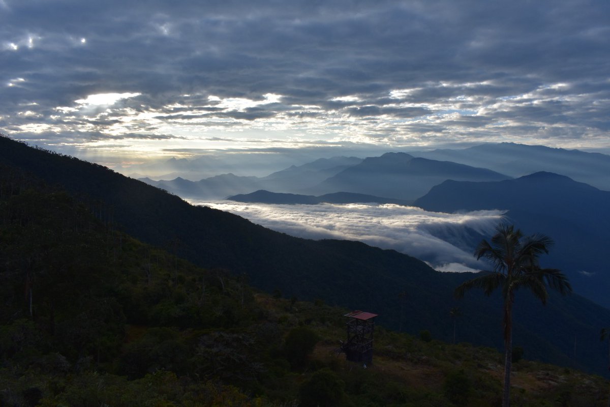 BukapTravels's tweet photo. It is not a waterfall, they are clouds that fall between the mountains of the Sierra Nevada de Santa Marta.

This is the majestic view that you can witness from Cerro Kennedy at 10.000 Ft above sea level.

Travel smoothly and safely to Santa Marta 🛫 https://t.co/9goLNdXdVa