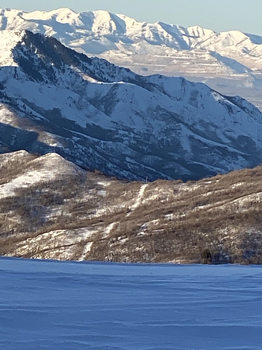 Samuel Brown tweet media