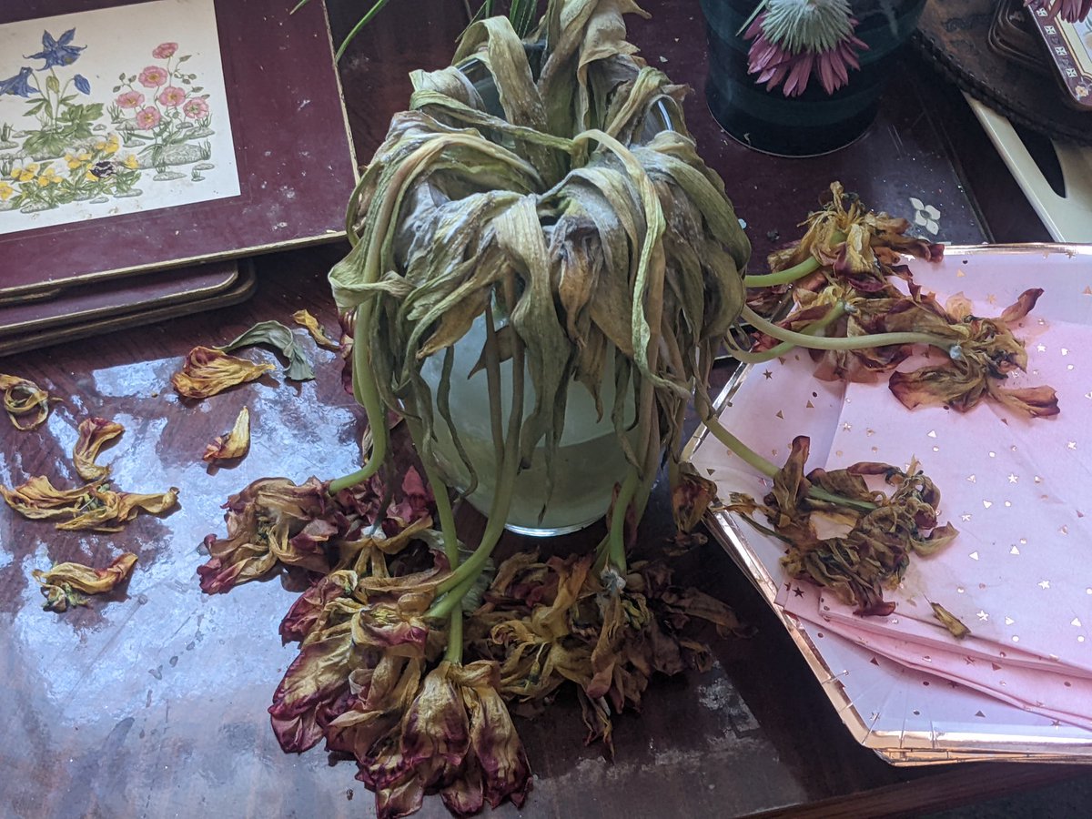 MeikeSchepers's tweet photo. Wasn't sure what to do when I found these dead in the 'good' room😂😂
So, I took a #photo
Named it......After The Party😂
#photography #party #dead
#flowers #justforalaugh https://t.co/RU5V8aIxJC