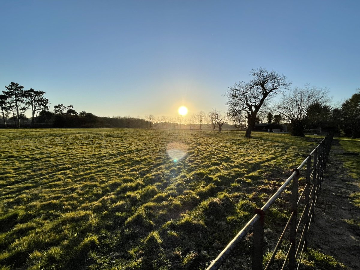 This house is actually beautiful